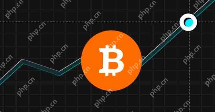 当加密货币或代币的价格快速上涨时使用的术语是什么？