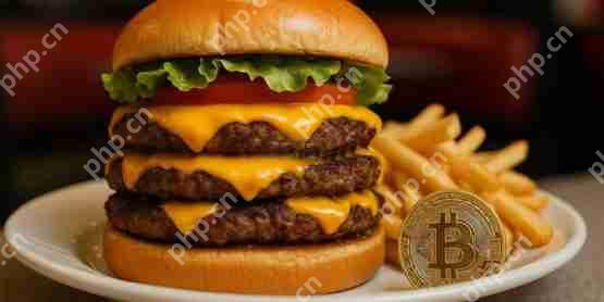 速食连锁巨头steak 'n shake官宣：美国所有门店将接受比特币支付
