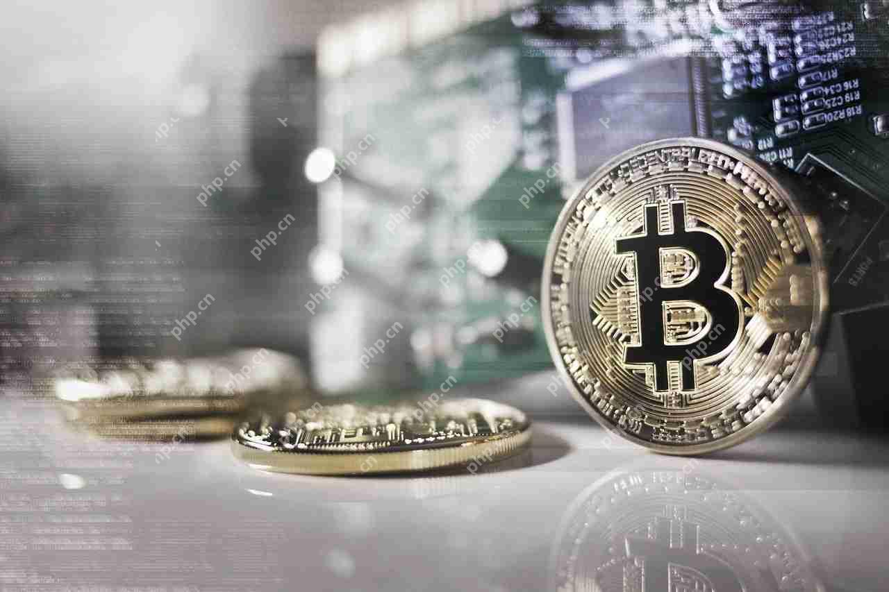 尽管市场状况正在衰落，但比特币的价格远高于103,000美元的价格。