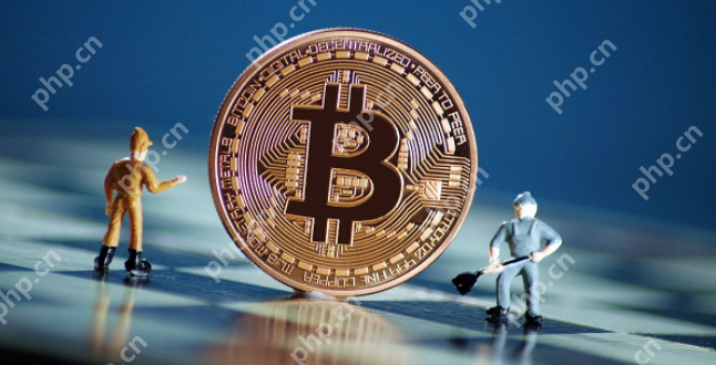 数字货币交易app下载排行榜前十名盘点 - php中文网
