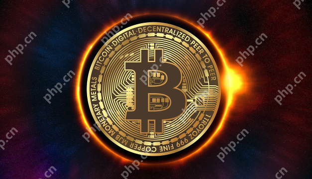 2025币圈最火的板块是哪个？