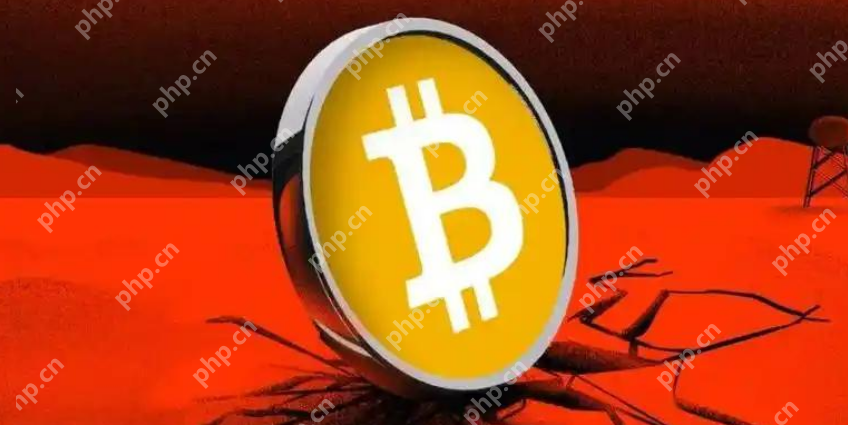 虚拟币交易所哪个费用最低？虚拟币交易所app费用排名 - php中文网