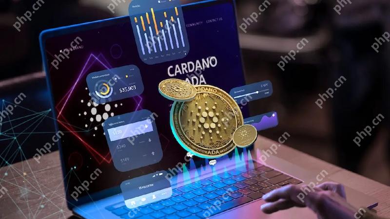 比特币交易只有合约和杠杆交易两种方式吗？ - php中文网