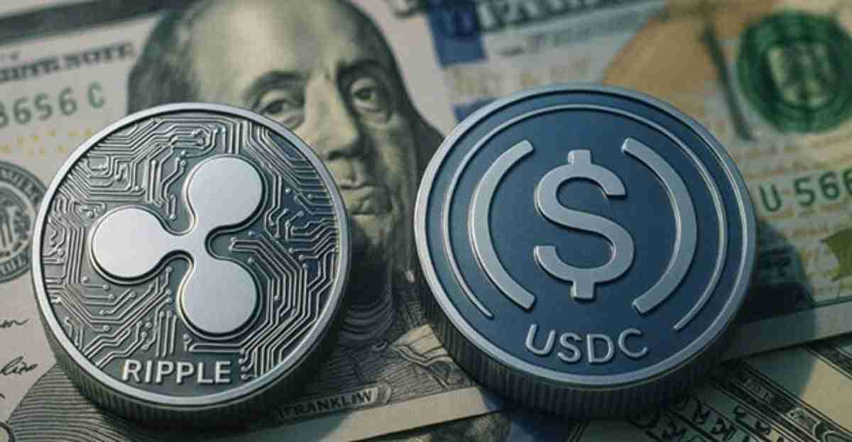 经验丰富的XRP鲸鱼将其利润倾倒到Xpfinance的预售中，以捕获30％的清单