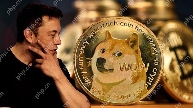 谁将成为PEPE之后达到百亿美元市值的MEME代币？ - php中文网