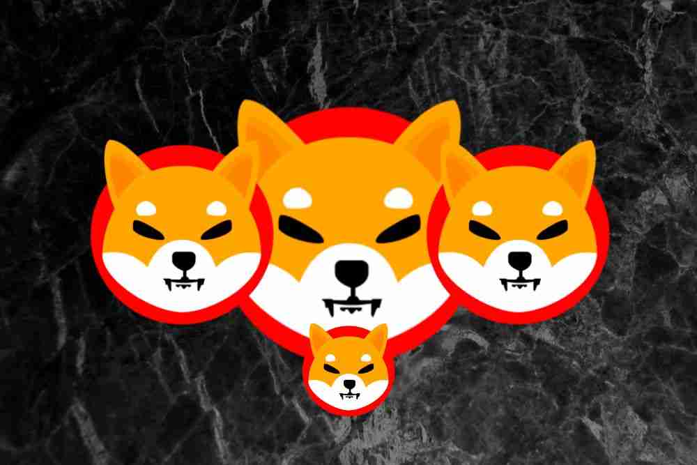 Shiba Inu（Shib）开发团队探索了代币达到1美元的可能性