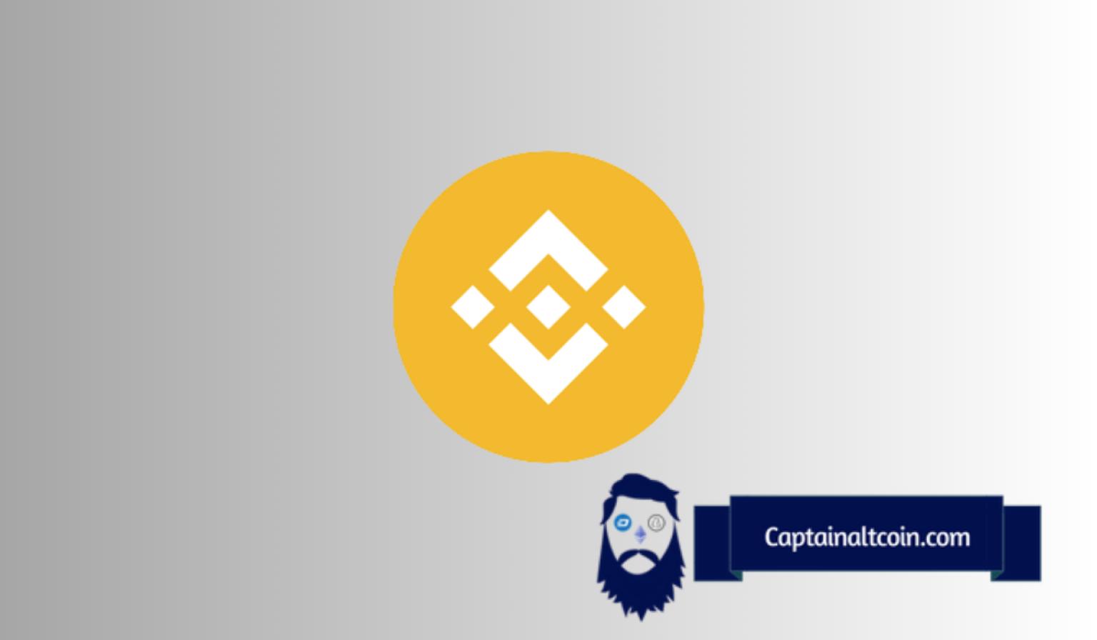 Binance Coin（BNB）价格预测：加密分析师揭示了本周期2000美元的“现实”目标