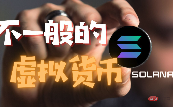 芝麻交易所交易所有哪些币种 2025芝麻交易所交易所币种盘点 - php中文网