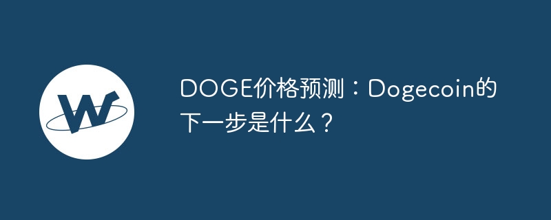 doge价格预测：dogecoin的下一步是什么？