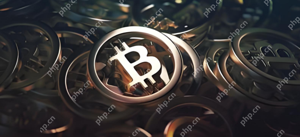 芝麻交易所和币安是什么？手机端怎么安装？ - php中文网