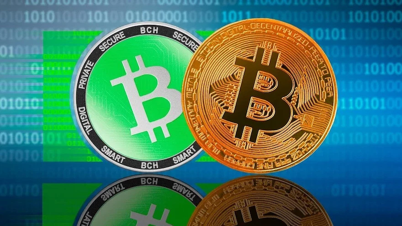 马斯克看好的Web3是什么 从比特币到DAO，一文读懂下一代互联网 - php中文网
