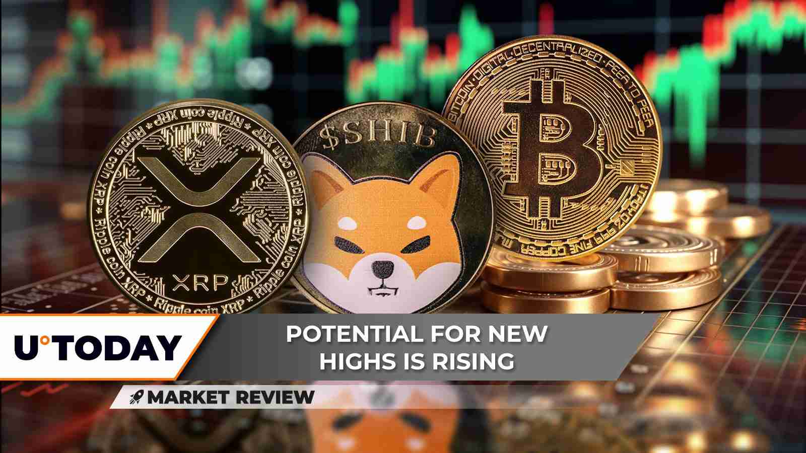 XRP、比特币和柴犬币：解读最新加密货币动向