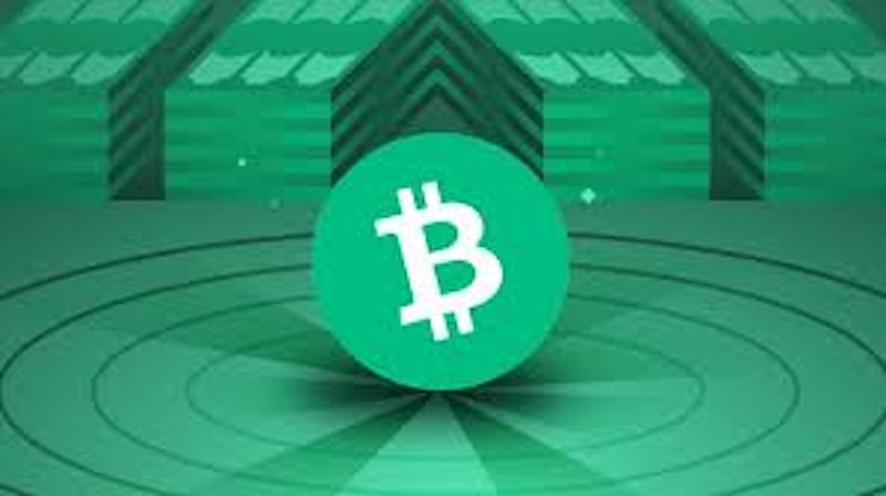 模块化区块链成开发者新宠，celestia与avail竞争激烈 - php中文网