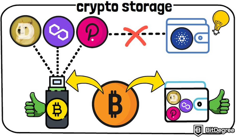 热储存和冷储存有什么区别？刚入圈必须了解 - php中文网