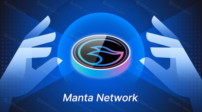 MANTA币有什么用？技术背景解读 - php中文网