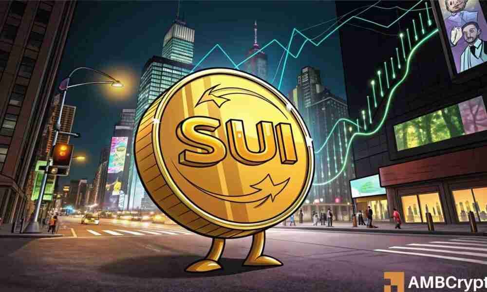 SUI 支持激增：乘风破浪还是面临灭顶之灾？
