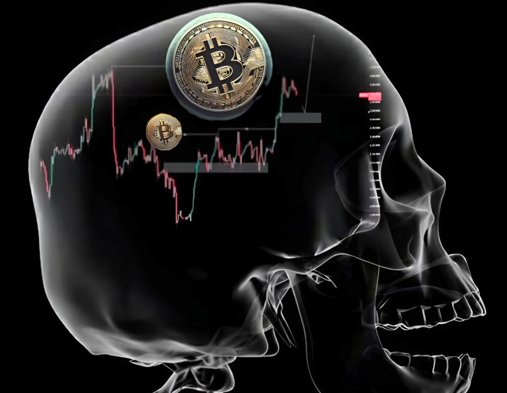 新手知识之怎么看币圈行情 - php中文网