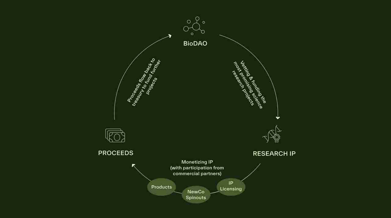 什么是Bio Protocol？ 值得关注的五大DAO介绍