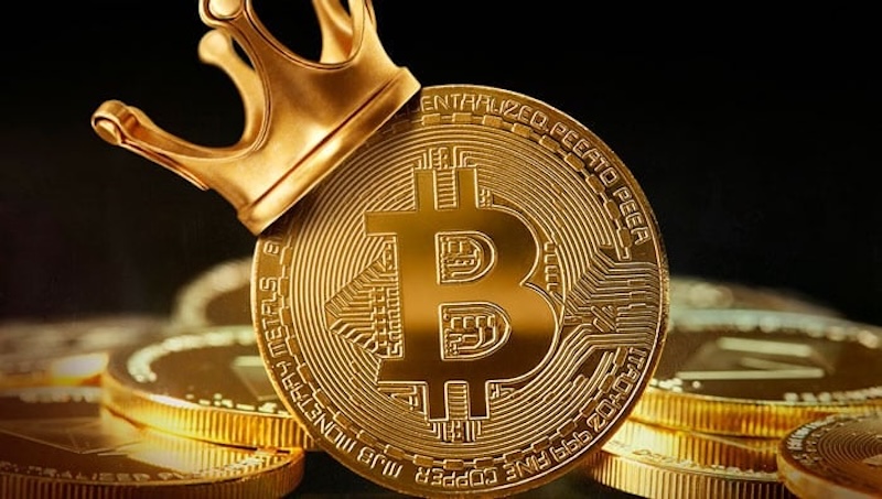 企业成为比特币新势力，2025年持有量大增21倍 - php中文网