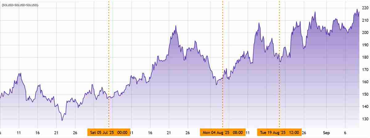 随着加密货币抛售，索拉纳（SOL）多头杠杆交易者消失：一文了解下一个目标是200美元吗
