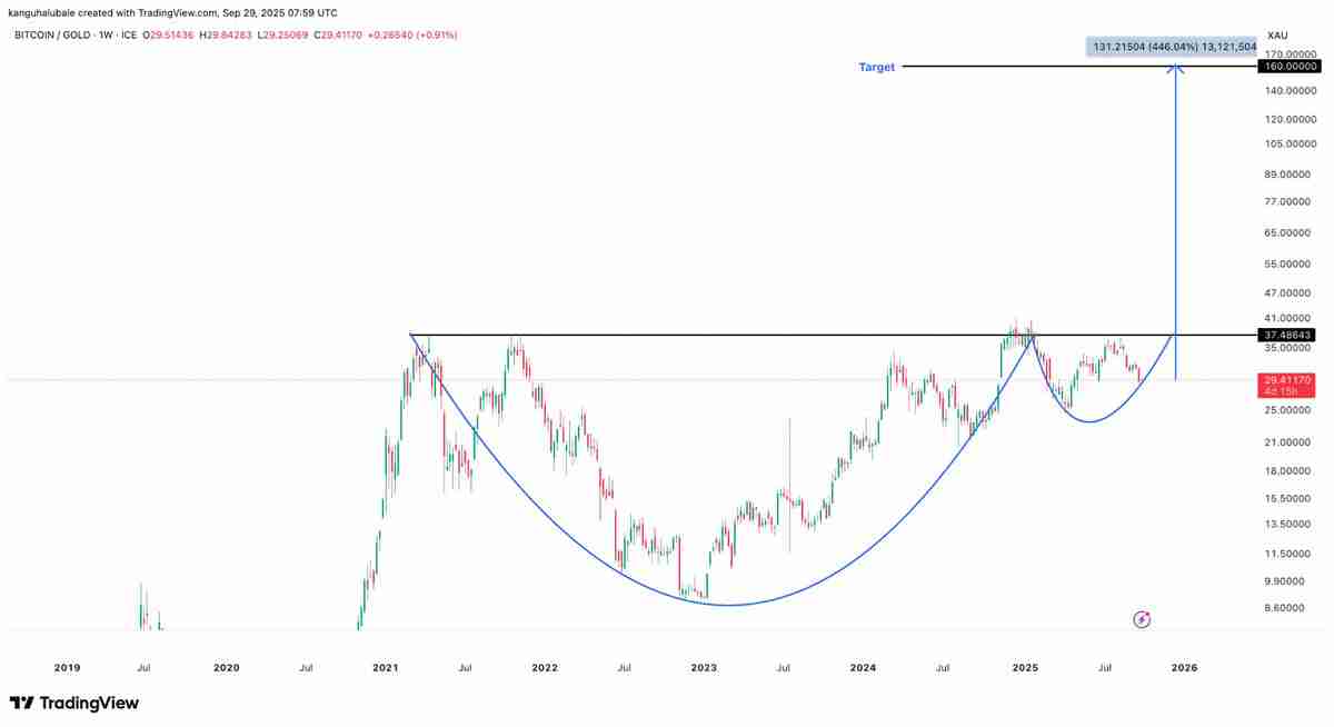 分析师Milk Road Macro称，比特币（BTC）冲击 30 万美元目标“可能性正日益增加”