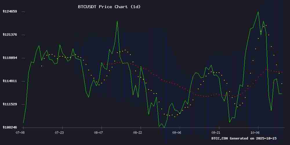 2025年比特币价格预测：在混沌信号中分析创下新纪录的路径