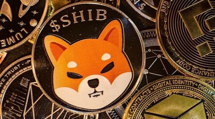 什么是shib（柴犬币）？如何购买、价格预测及社区分析 | 在币安（binance）购买柴犬币全攻略 - php中文网