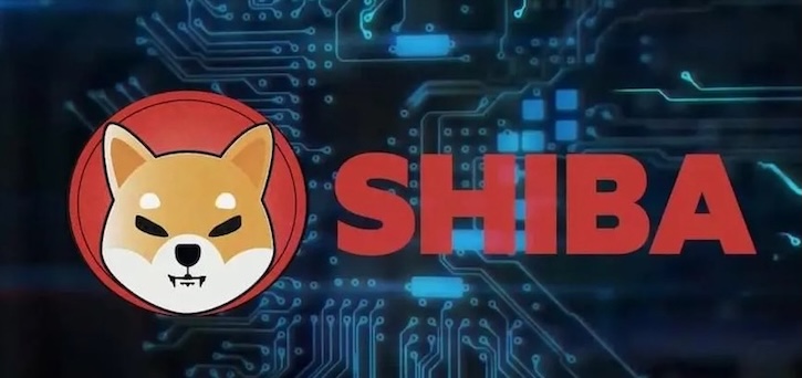 什么是SHIB（柴犬币）？如何购买、价格预测及社区分析 | 在币安（Binance）购买柴犬币全攻略 - php中文网