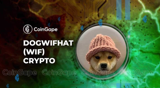 WIF(dogwifhat)是什么？这只戴帽子的狗为何能成为Solana上的Meme之王？ - php中文网