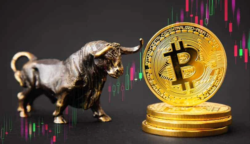 怎么加入币圈 币圈新手入门软件2025汇总 - php中文网