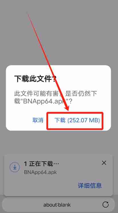 在中国苹果手机如何下载币安APP？币安中文版APP苹果手机下载指南
