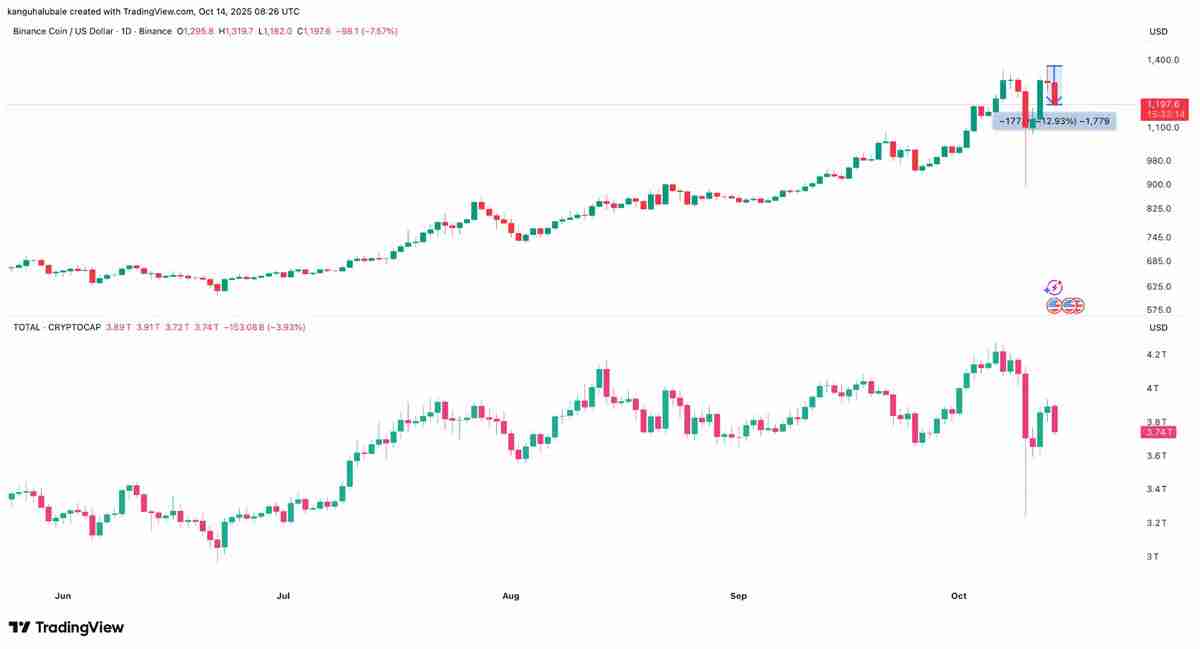 一文了解BNB价格较历史高点下跌12%：牛市行情是否终结？