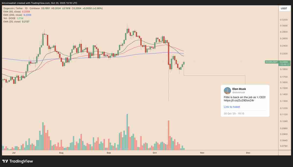 喜报：狗狗币价格在马斯克发布DOGE相关帖子后有望上涨25%