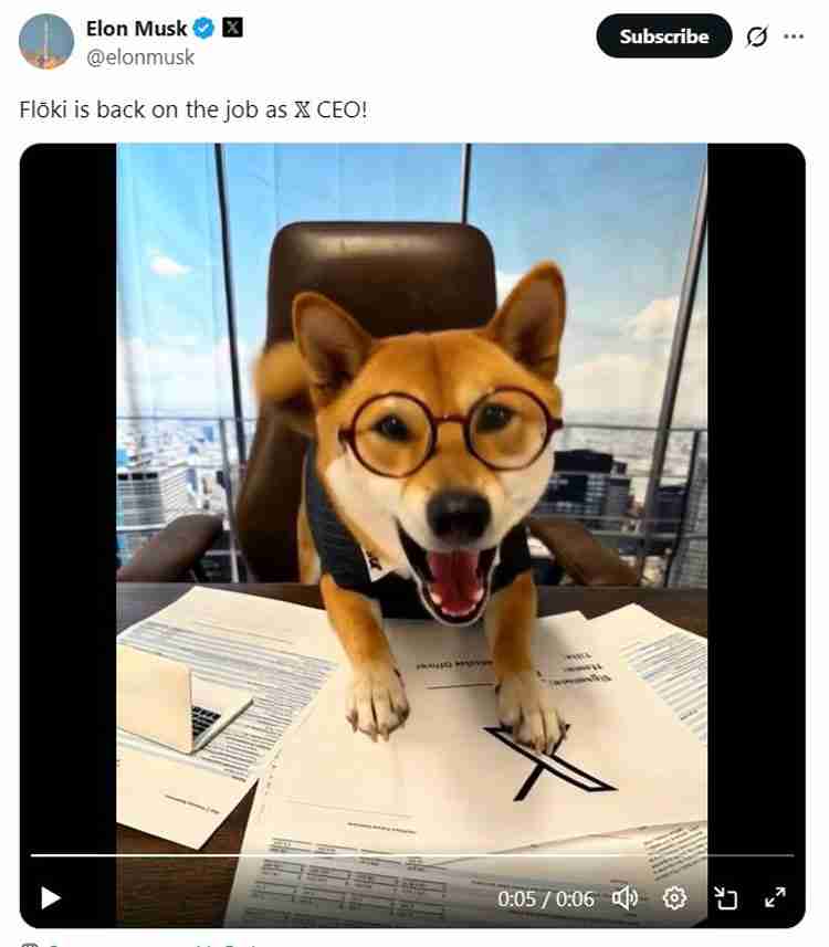 马斯克在X上发布宠物狗Floki照片，模因币暴涨29%详细了解