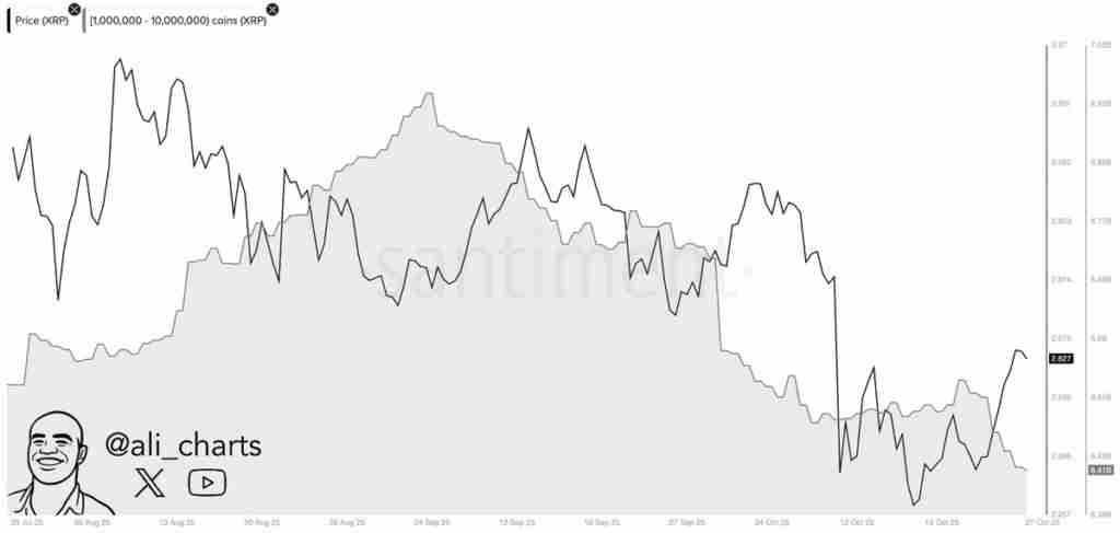 XRP价格上涨13%,但巨鲸抛售1.4亿枚代币,这对市场是利好还是利空?