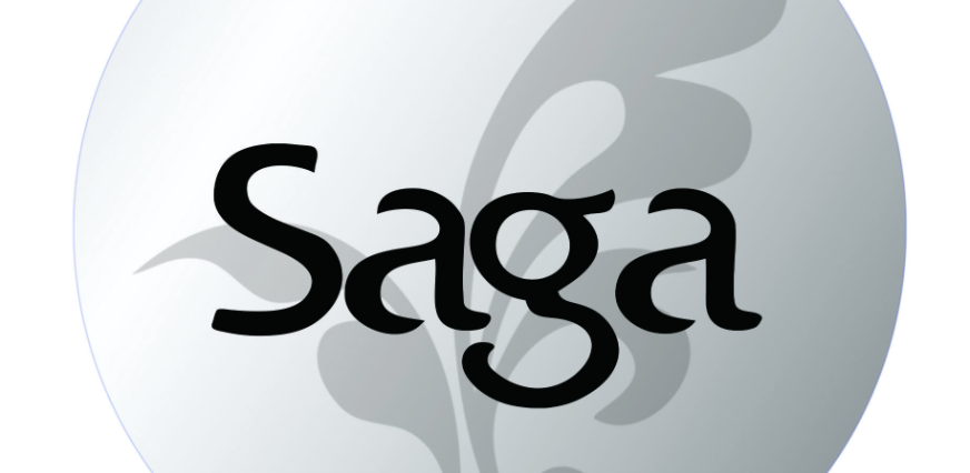 Saga (SAGA) 币是什么？模块化游戏公链的空投与潜力解读 - php中文网