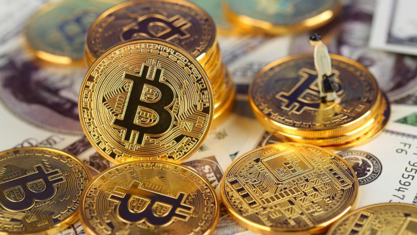 如何估值一个加密货币项目？详解7个核心评估指标 - php中文网