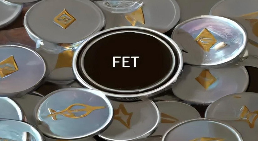 FET币 (Fetch.ai) 深度剖析：AI+Crypto赛道的领跑者 - php中文网