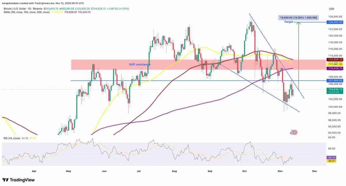 一文了解比特币（BTC）流动性模式显示“关键时刻”到来，目标价12.4万美元