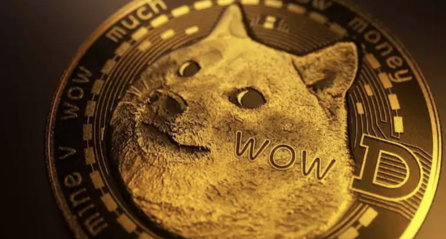 狗狗币 (DOGE) vs. 柴犬币 (SHIB)：Meme币的狂热过后，2025年谁更有投资价值？