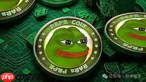 pepe币是否值得长期持有