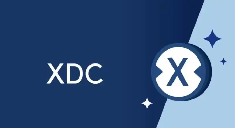 5个最佳的XDC存储工具：优缺点以及如何使用介绍