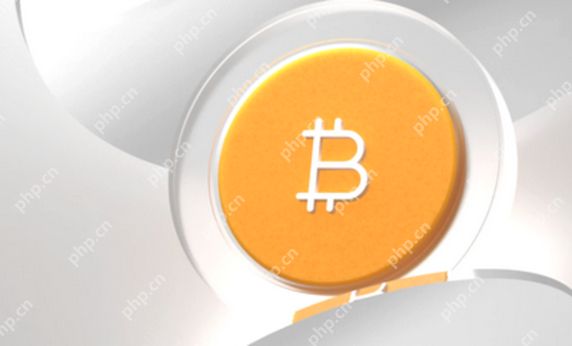 什么是支撑位？新手如何用它判断熊市低位进场时机？