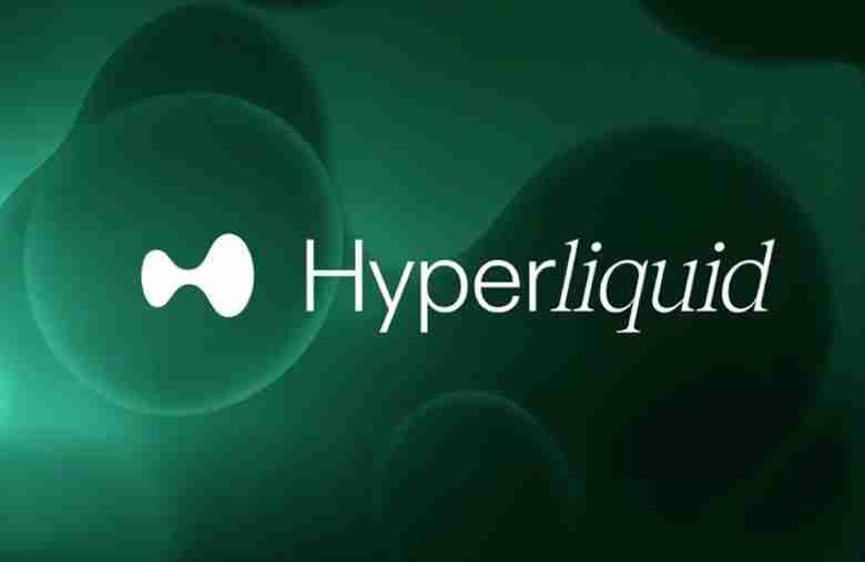 永续 DEX 里的头号玩家，HYPE 未来市场走势如何让？一文分析