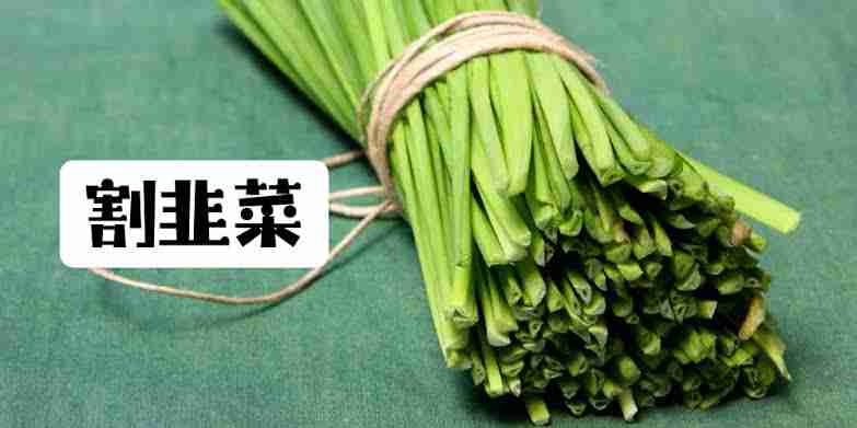 割韭菜是什么意思？特征是什么？虚拟货币韭菜特征及避免被割的方法