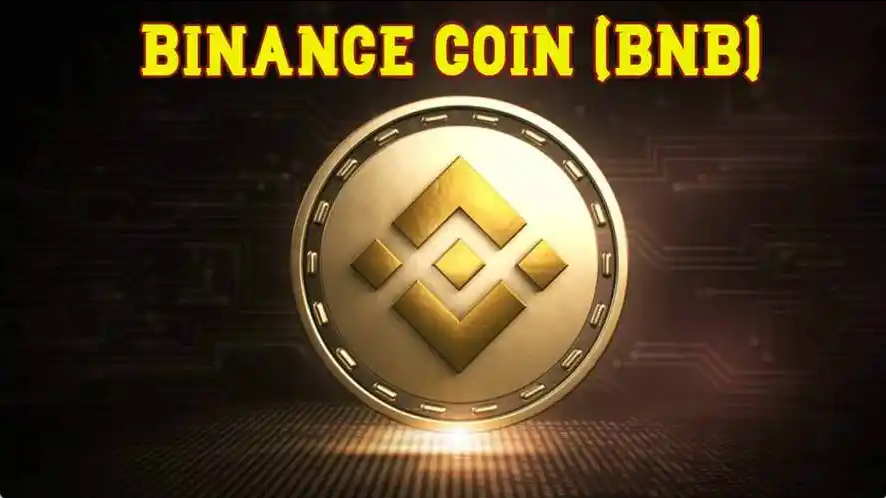 2025年币安和coinbase交易量哪个大？哪个好？为什么币安使用人数最多？