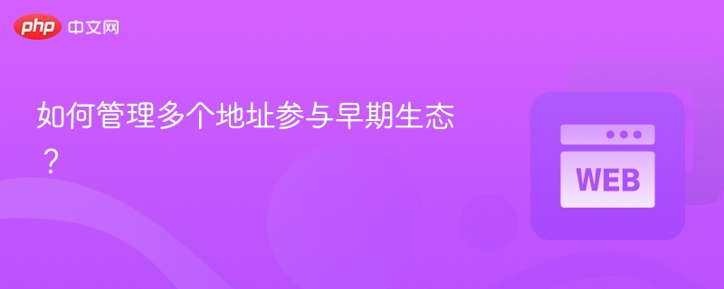 如何管理多个地址参与早期生态？