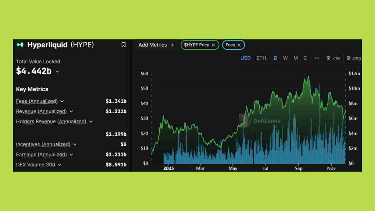 2025年山寨币季会到来吗？资金流向何处？与以往周期有何不同？