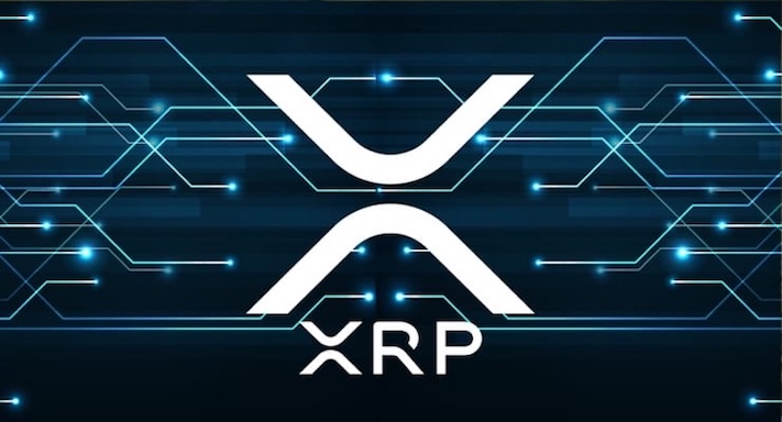 什么是瑞波币（XRP）？值得投资吗？XRP购买方法介绍 - php中文网